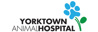 Link to Homepage of Yorktown Animal Hospital